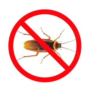 residential pest control